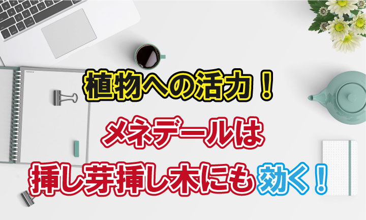 植物への活力 メネデールは挿し芽挿し木にも効く Lifenagiブログ