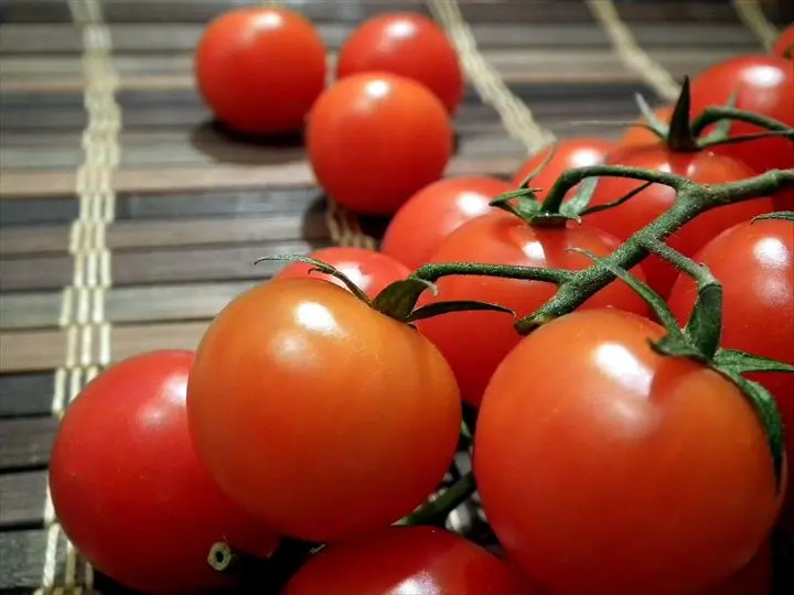 【意外な結果！】ベランダでのミニトマト放任栽培の様子