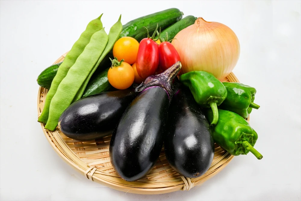 2026年に栽培している野菜一覧